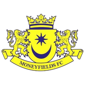 Moneyfields FINAL